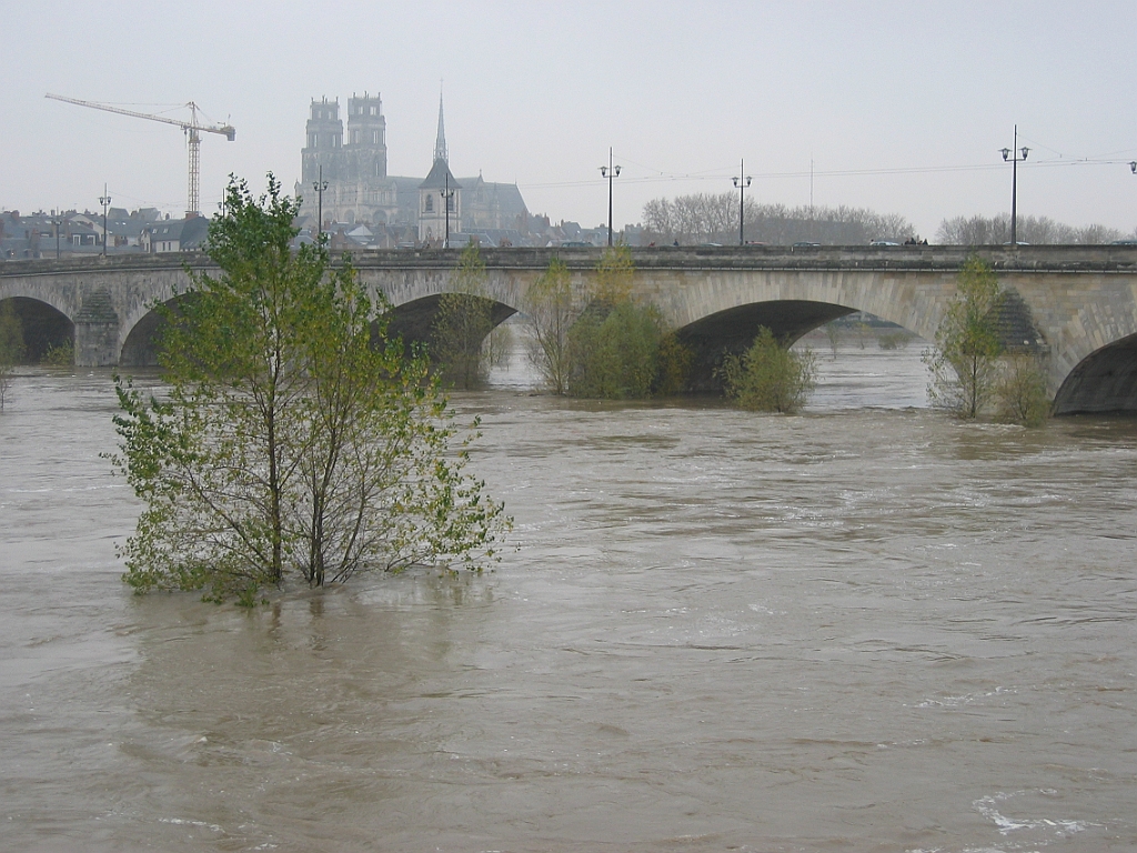 Loire en crue 19.jpg